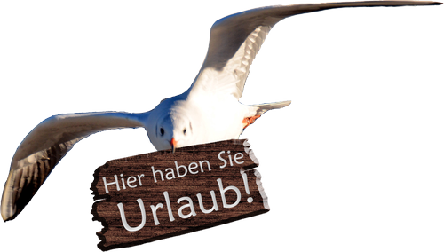 Slogan Immobilienservice Morgenstern